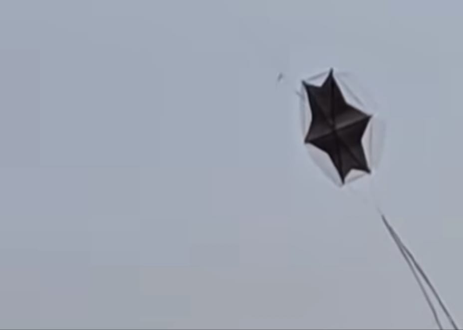 Niño sobrevive a descarga eléctrica tras intentar rescatar su papagayo en Maracaibo