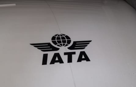 IATA ofrece ayuda técnica para habilitar cuanto antes el aeropuerto de Maiquetía